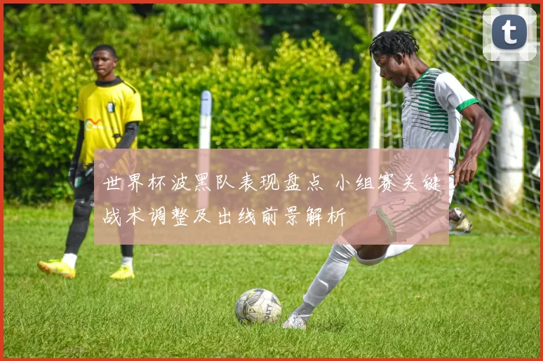 世界杯波黑队表现盘点 小组赛关键战术调整及出线前景解析