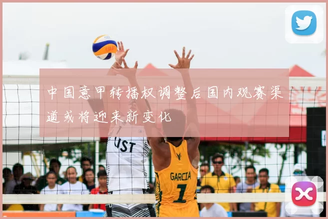 中国意甲转播权调整后国内观赛渠道或将迎来新变化