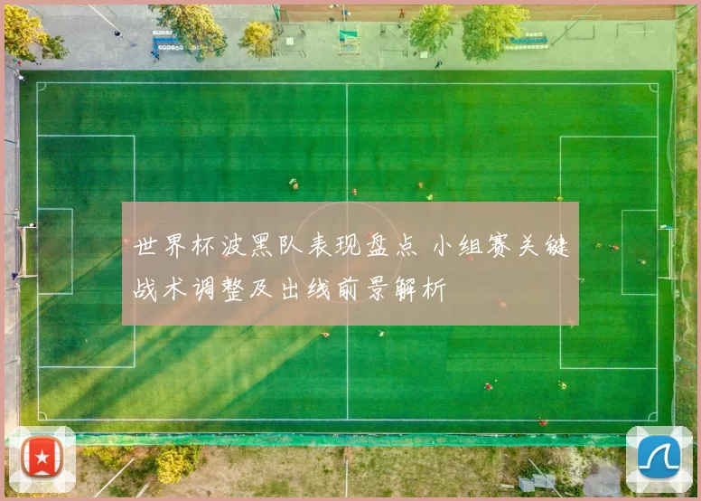 世界杯波黑队表现盘点 小组赛关键战术调整及出线前景解析